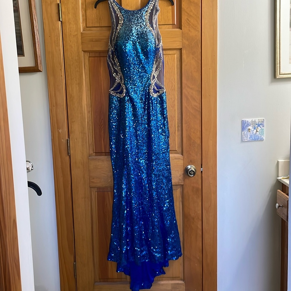 Gorgeous sequined gown